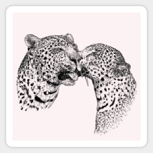 Leopard Couple Sticker